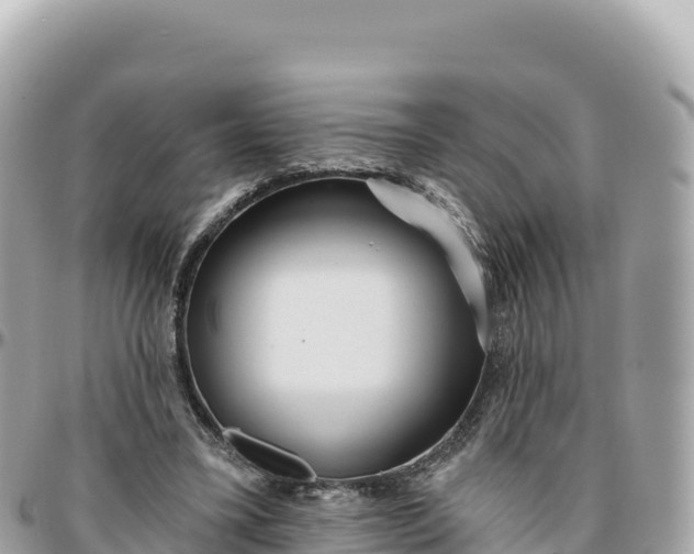 X0000095880395200801251145