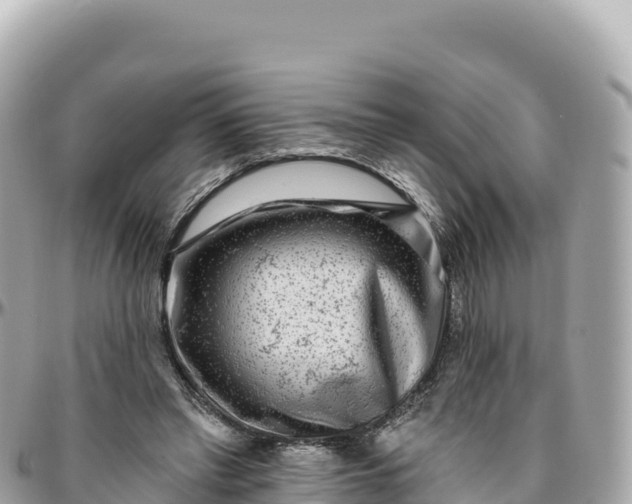 X0000095880397200801251145