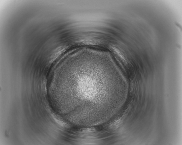 X0000095880398200801251145