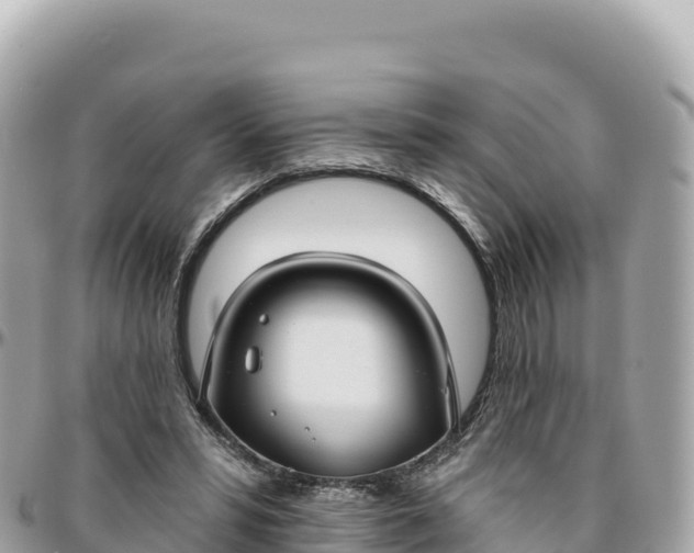 X0000095880399200801251145