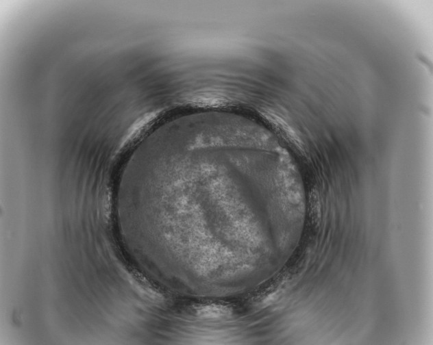 X0000095880400200801251145