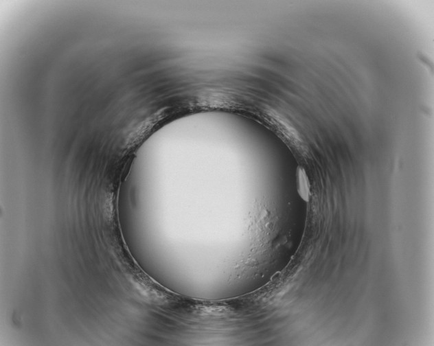 X0000095880401200801251145