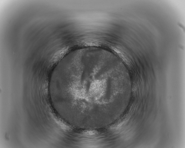 X0000095880402200801251145