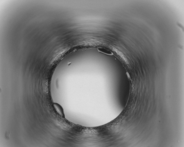 X0000095880403200801251145