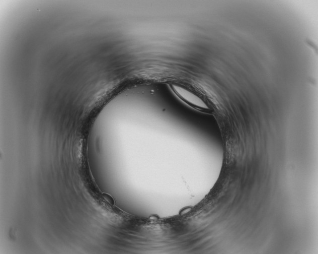 X0000095880404200801251145