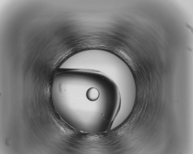 X0000095880405200801251145