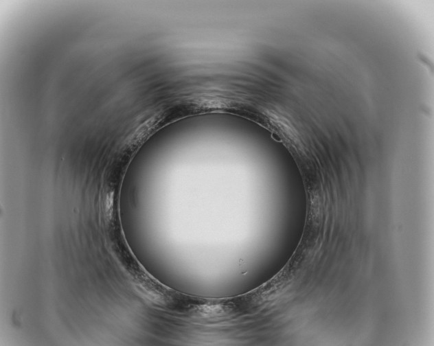 X0000095880406200801251145