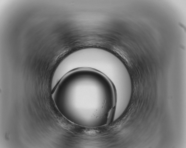 X0000095880407200801251145