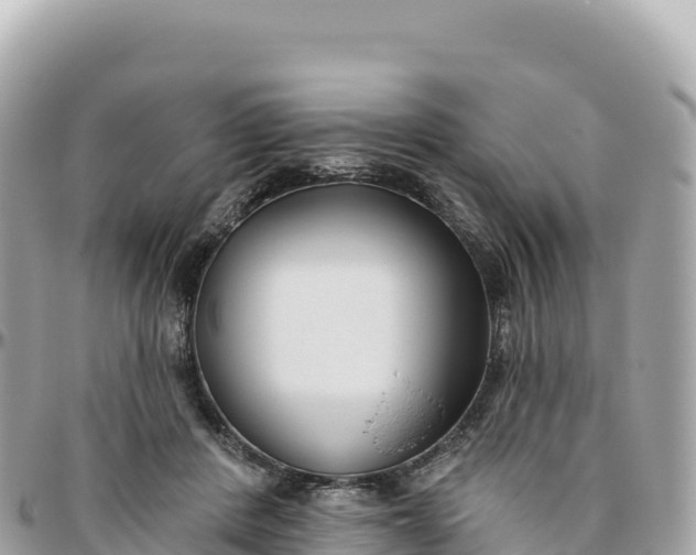 X0000095880408200801251145