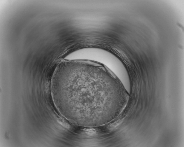 X0000095880409200801251145