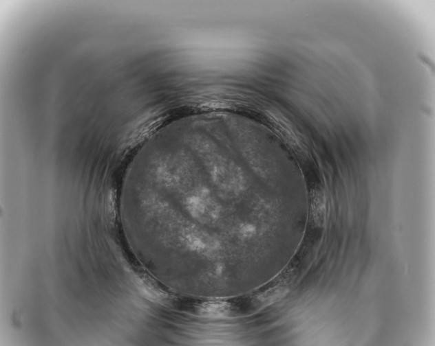 X0000095880410200801251145