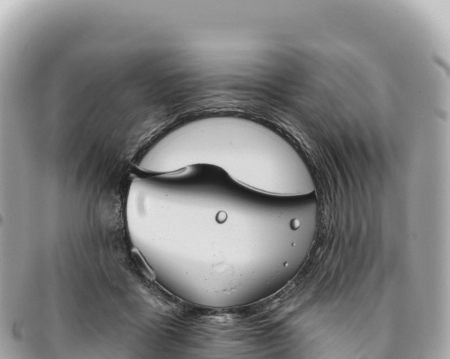 X0000095880411200801251145