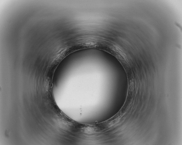 X0000095880412200801251144