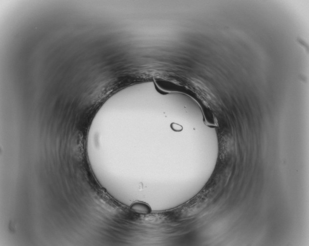 X0000095880414200801251144