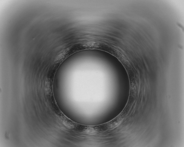 X0000095880416200801251144