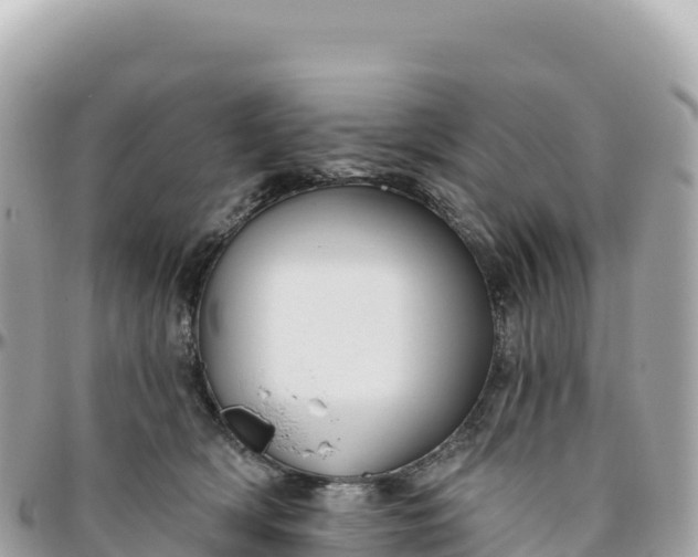 X0000095880418200801251144