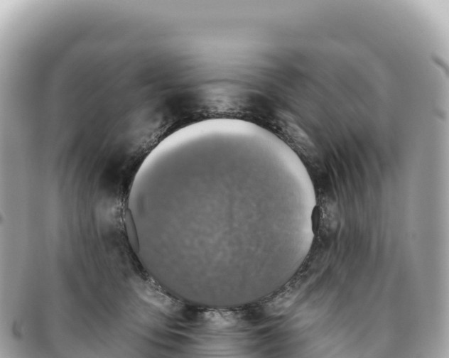 X0000095880419200801251144