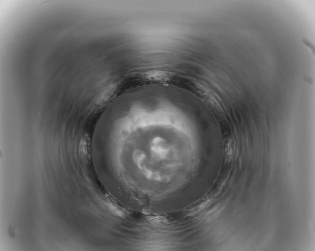 X0000095880424200801251144