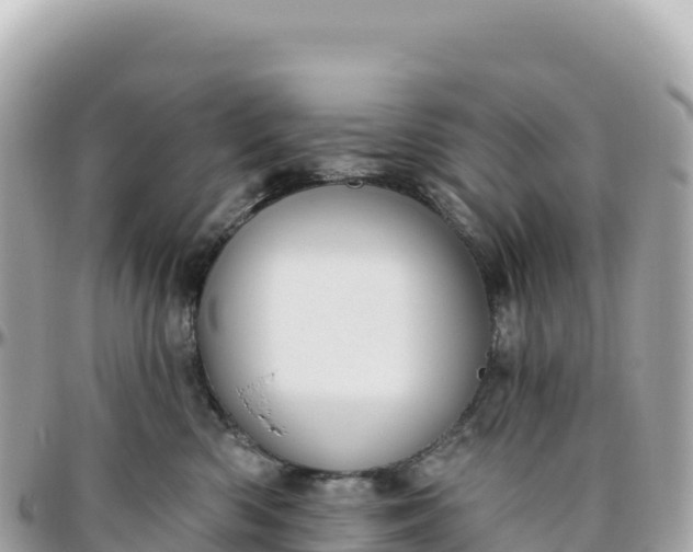 X0000095880426200801251144