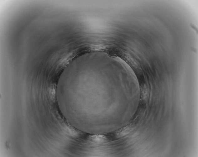 X0000095880427200801251144