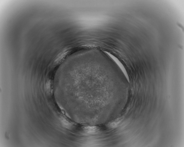 X0000095880428200801251144