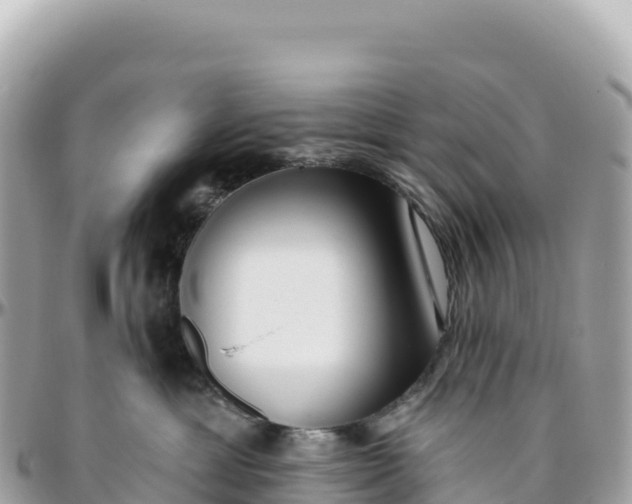 X0000095880429200801251144