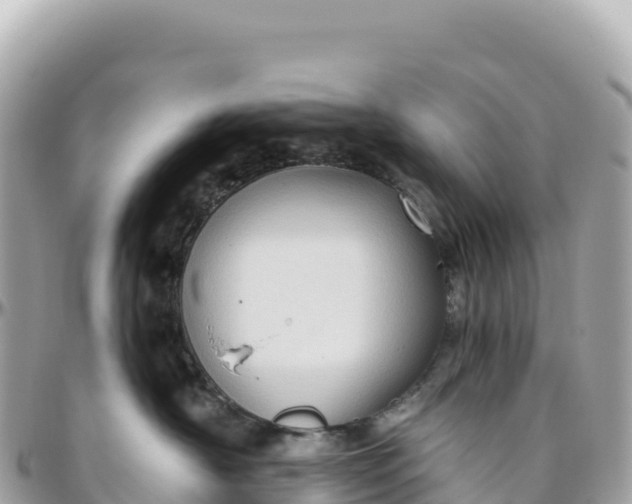 X0000095880430200801251144