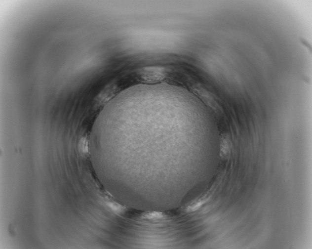 X0000095880431200801251144