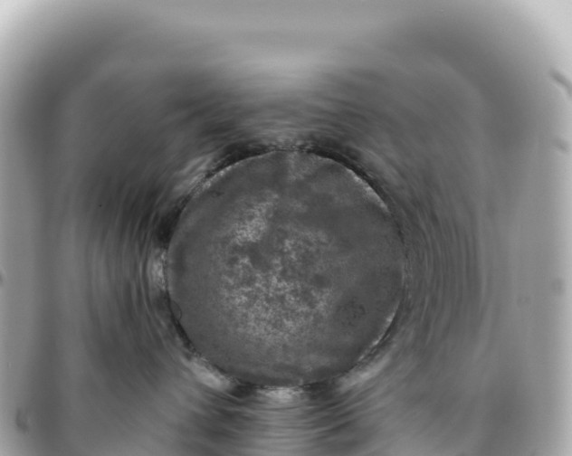 X0000095880432200801251144