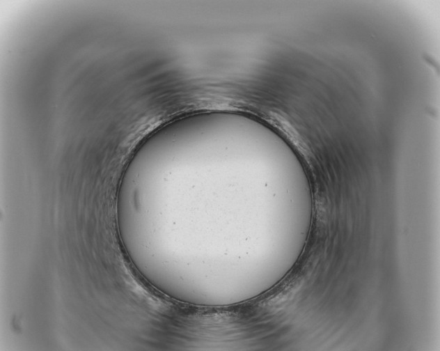 X0000095880433200801251144