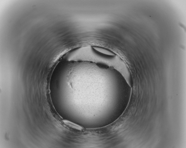 X0000095880434200801251144