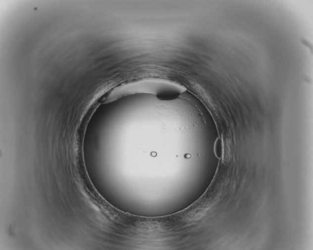 X0000095880435200801251144