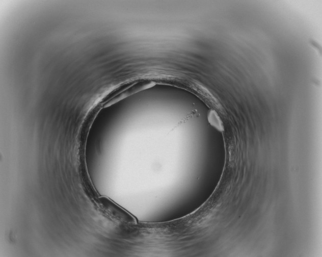 X0000095880436200801251144