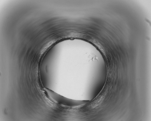 X0000095880437200801251144