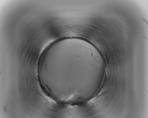 X0000095880438200801251144