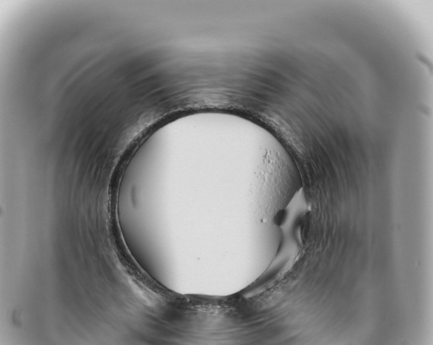 X0000095880439200801251144