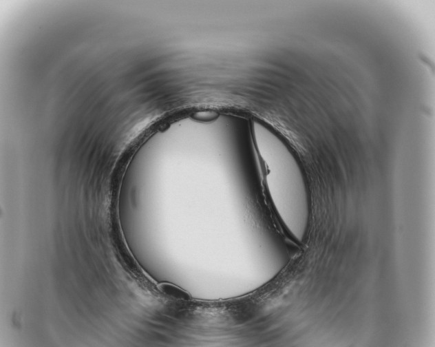 X0000095880440200801251144