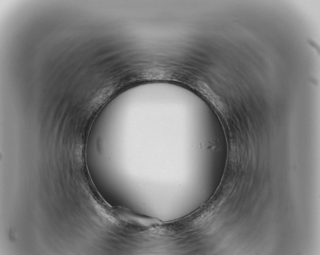 X0000095880441200801251144