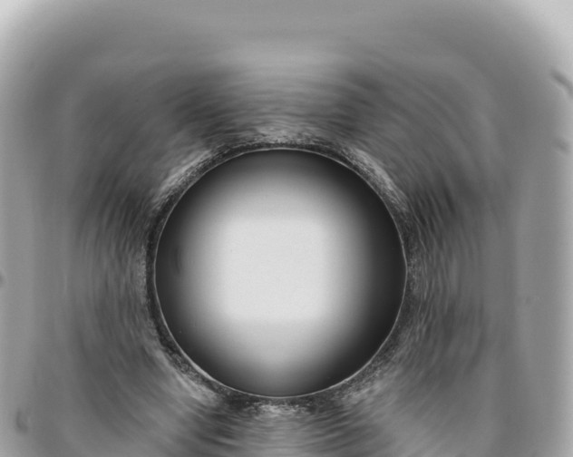 X0000095880442200801251144