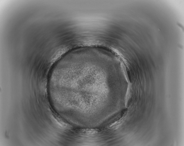 X0000095880443200801251144