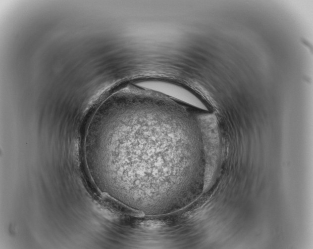 X0000095880444200801251144