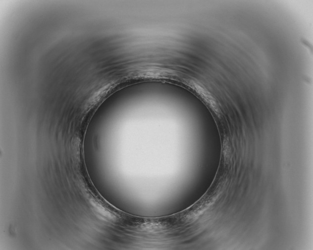 X0000095880445200801251144