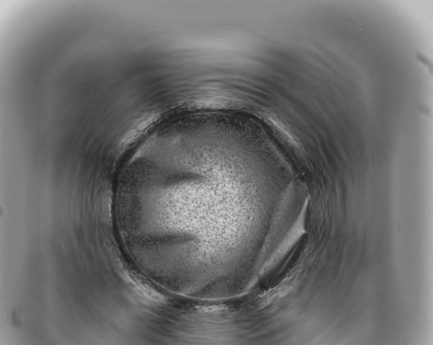 X0000095880446200801251144