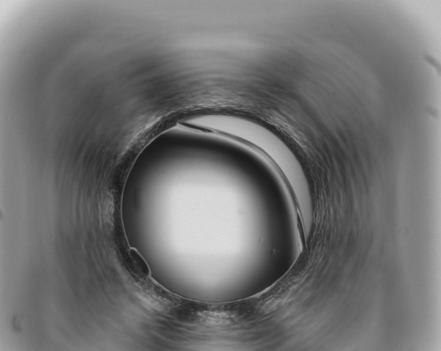 X0000095880448200801251144