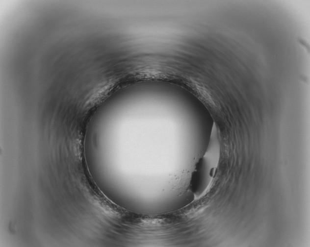 X0000095880450200801251144