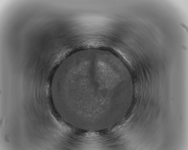 X0000095880451200801251144