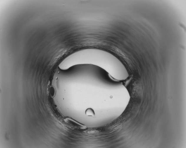 X0000095880452200801251144