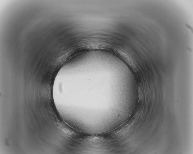 X0000095880453200801251144