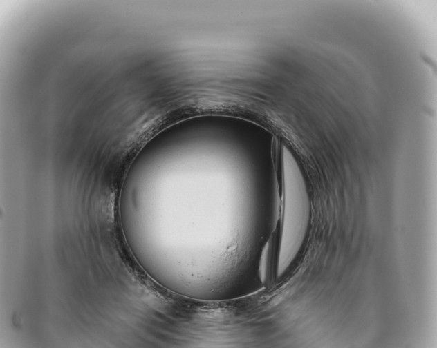 X0000095880454200801251144