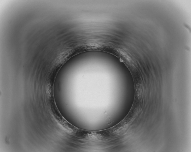 X0000095880455200801251144